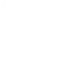 fly low logo